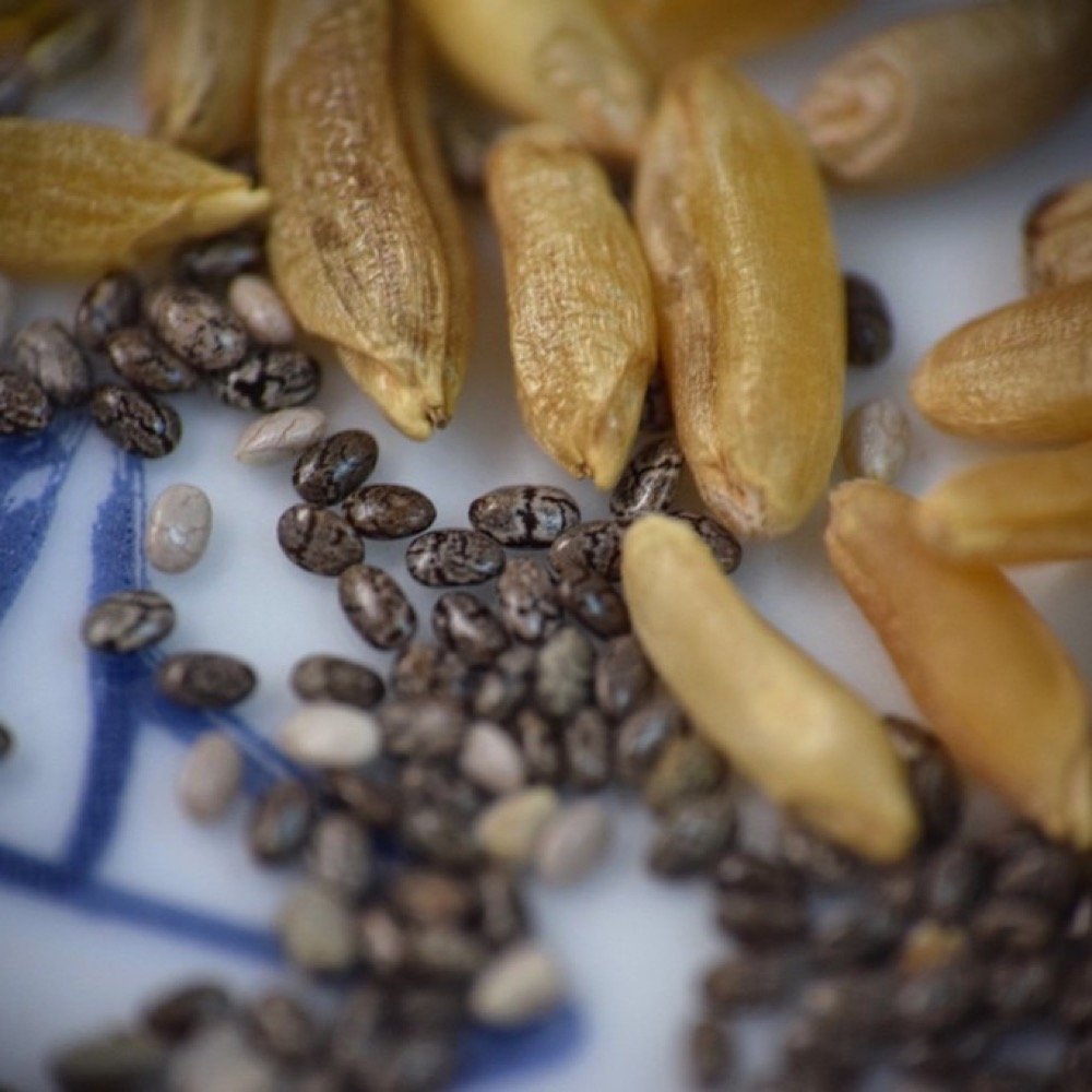 Chia Seeds