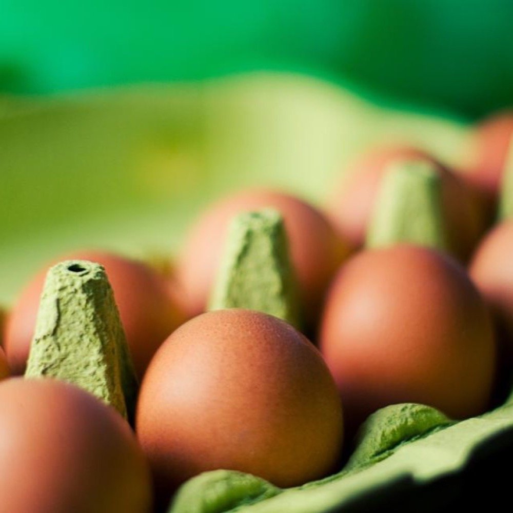 Farm Fresh Eggs