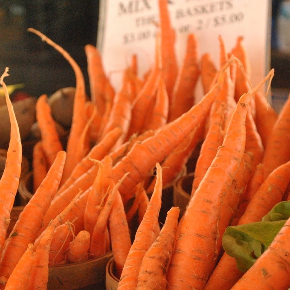 Fresh Carrots