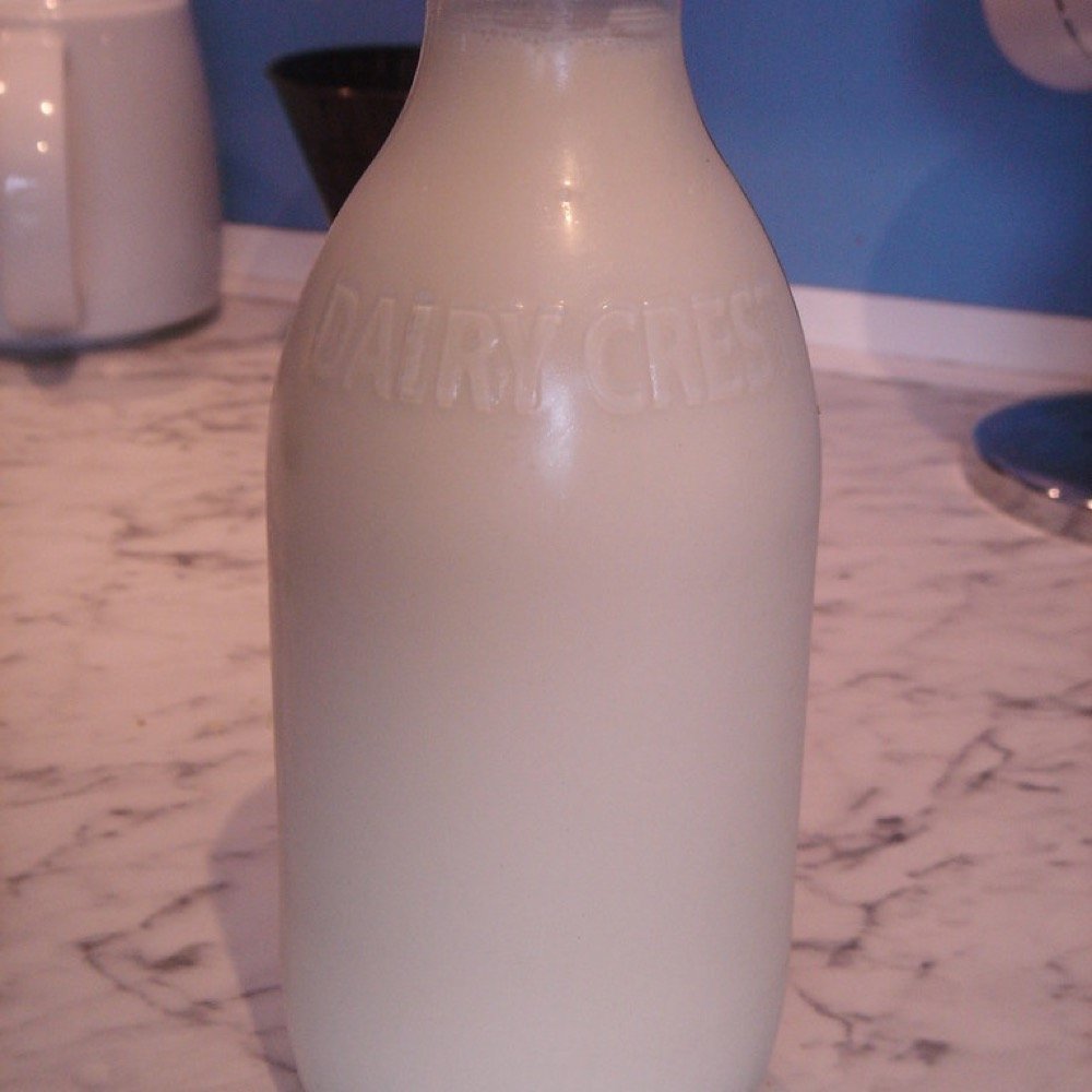 Fresh Cow Milk