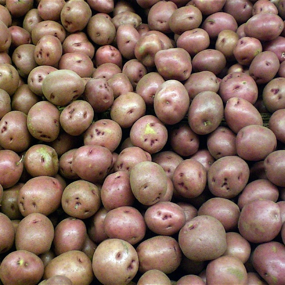 Potatoes